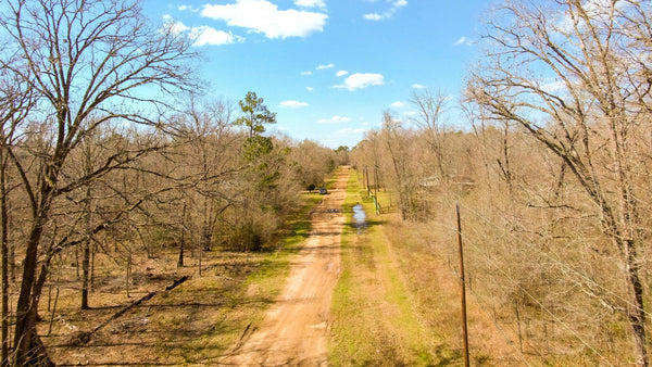 Wooded Lot near Lake Livingston with Utilities & Road Frontage : TX_Polk_00022