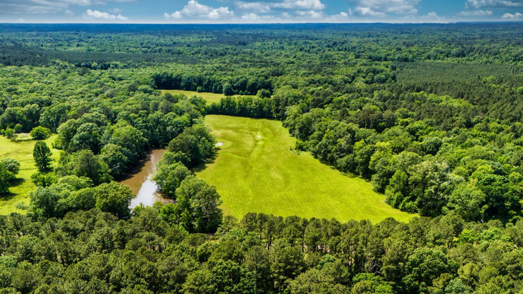 23 Acres with Pond, Power & Road Frontage near the 2 Biggest Lakes in Texas : TX_Sabine_00001