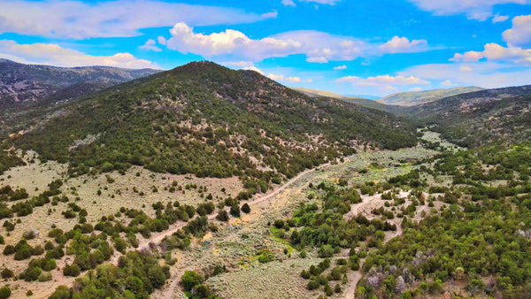 640 Acres bordering BLM Land near Fishlake National Forest : UT_Iron_00001