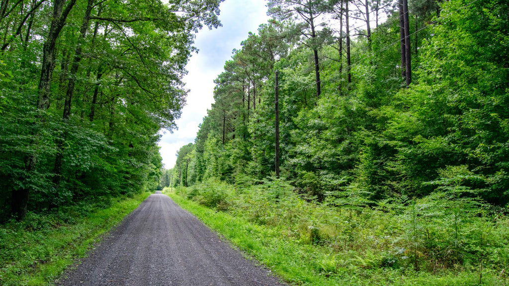 5.36 Acres with Highway Road Frontage & Power near Rappahannock River & Chesapeake Bay : VA_Lancaster_00001