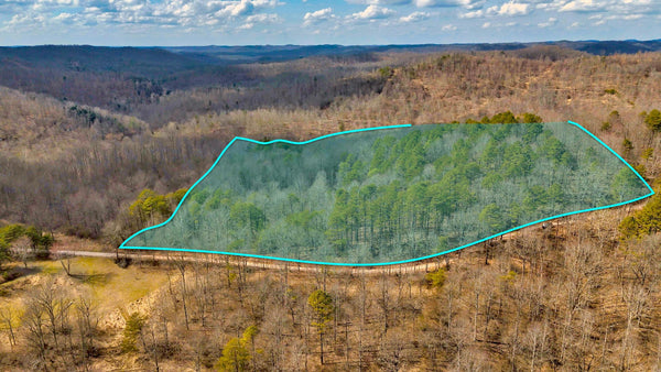 13.6 Wooded Acres with Airstream, Water Well & Road Frontage : WV_Ritchie_00001