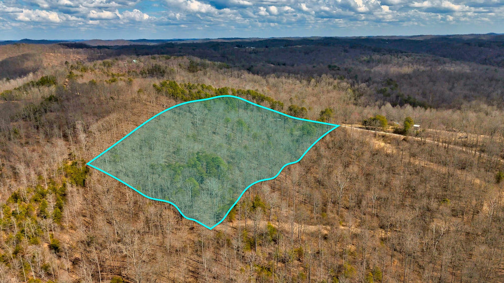 9.01 Acres with Road Frontage near Hunting Land : WV_Ritchie_00002
