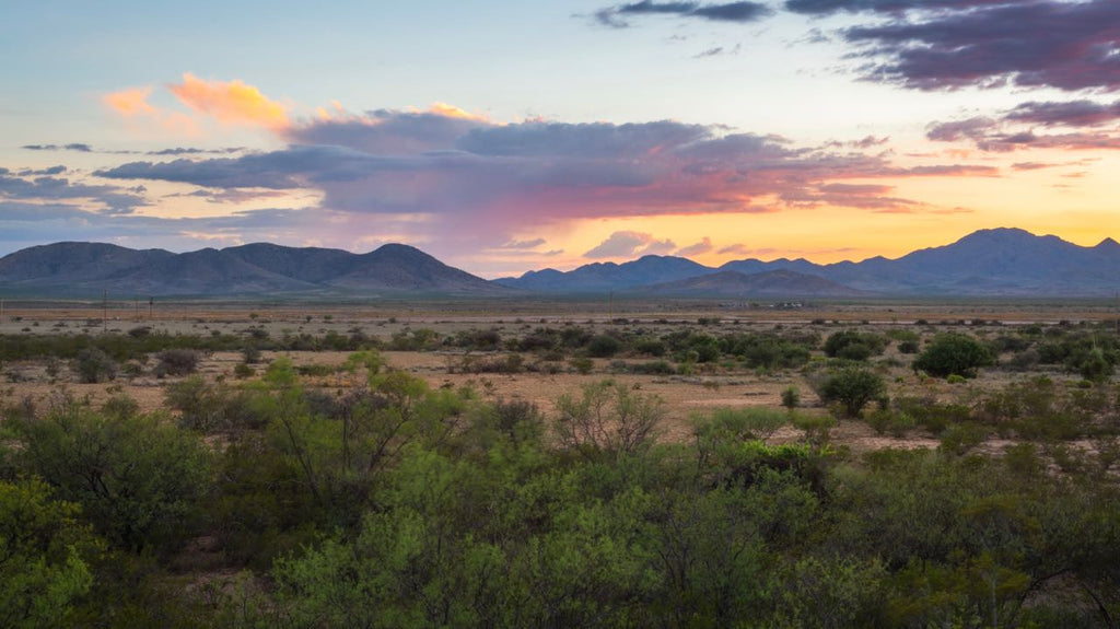 160 Acre Ranch in New Mexico with Amazing County Road Access