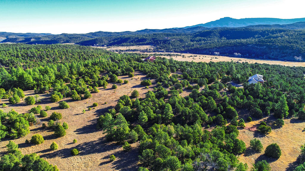 5.14 Acre 5.14 Acre Wooded Homesite near Trinidad Lake State Park