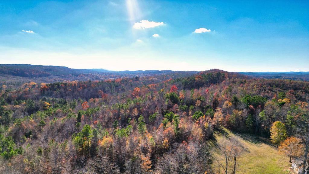 26 Wooded Acres with with Road Access & Electricity : AL_St-Clair_00001