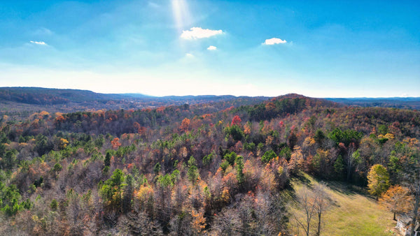 26 Wooded Acres with with Road Access & Electricity : AL_St-Clair_00001