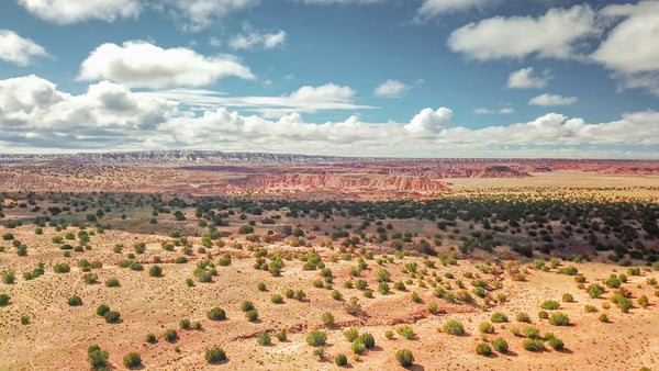 40 Acre Ranch next to the Petrified National Forest in Arizona - LANDiO Property ID: AZ_Apache_00001