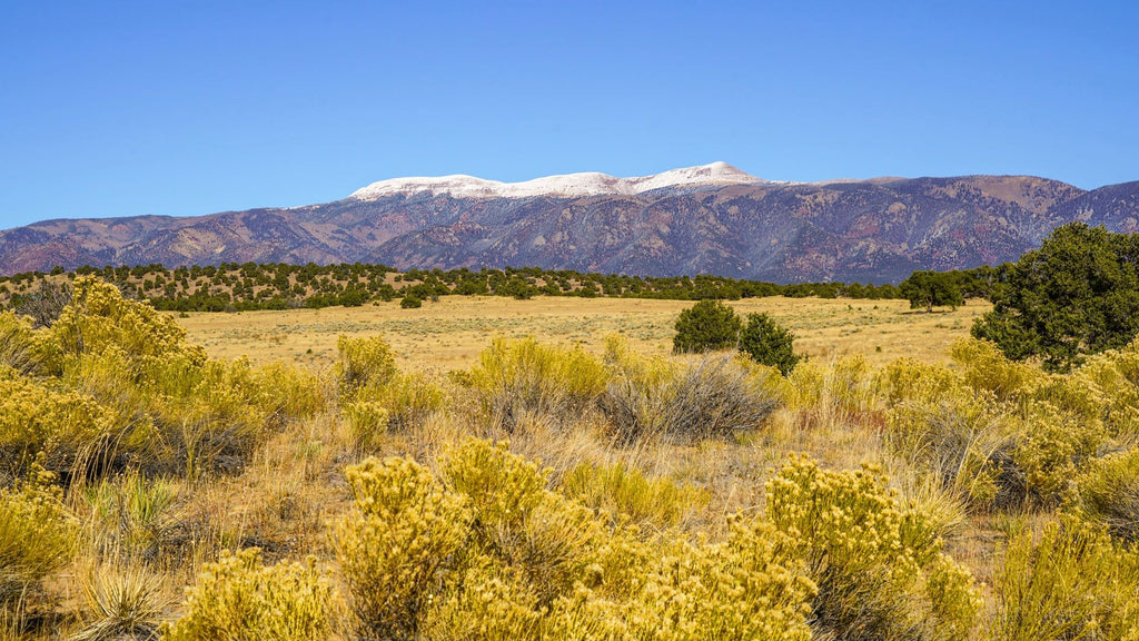 35 Acre Homesite near National Forest just North of Highway 69