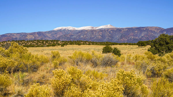 35 Acre Homesite near National Forest just North of Highway 69