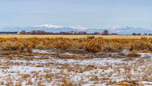 5 Acre Ranch with Electricity & County Road Frontage in Southern Colorado