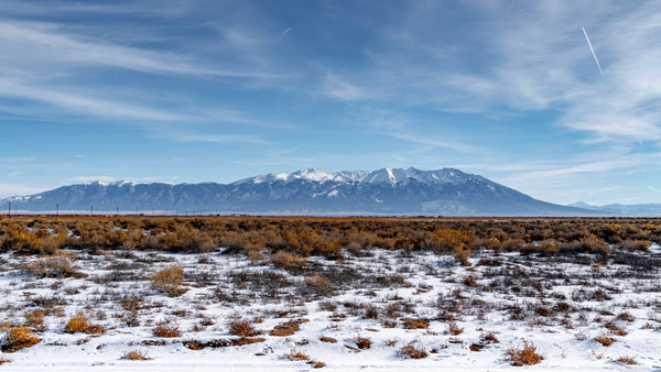 4.98 Acre Homesite with Electricity near San Luis State Park in Southern Colorado
