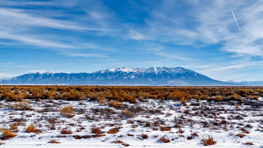 5.29 Acre Homesite with Electricity & County Road Frontage in Southern Colorado