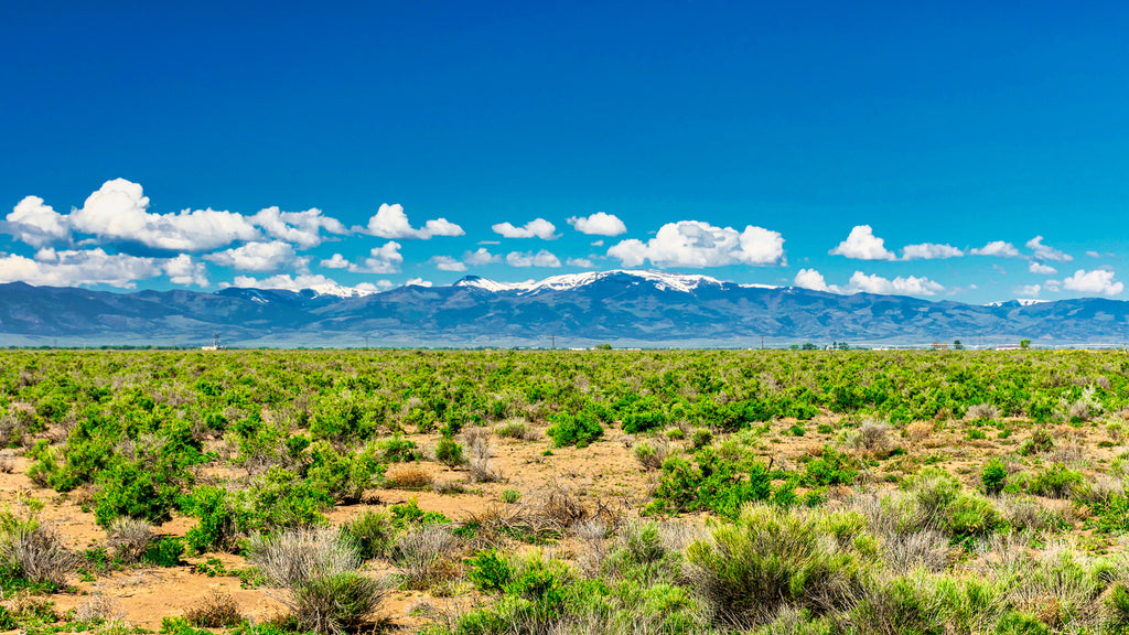40 Acres with Dirt Road Access & Amazing Mountain Views : CO_Alamosa_00042