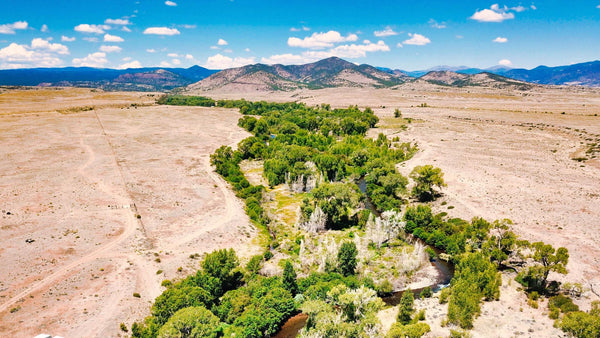 Corner Lot with Road Frontage & Mountain Views by Alamosa River : CO_Conejos_00009