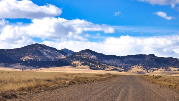 41.72 Acres with Road Frontage and Mountain Views : CO_Conejos_00022