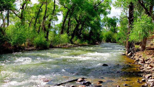 Riverfront Property with Road Frontage along the Alamosa River - CO_Conejos_00007