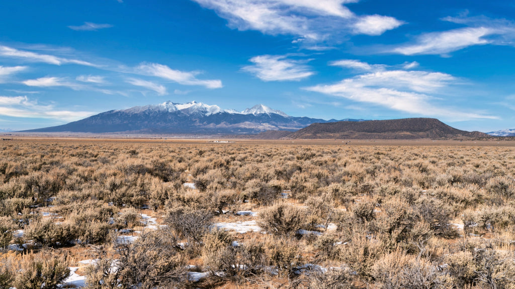 80 Acres with Road Access & Amazing Mountain Views : CO_Costilla_00012