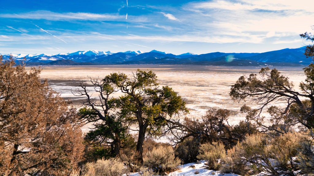 2.41 Acres with Electricity Bordering Sanchez Reservoir State Wildlife Area : CO_Costilla_00013