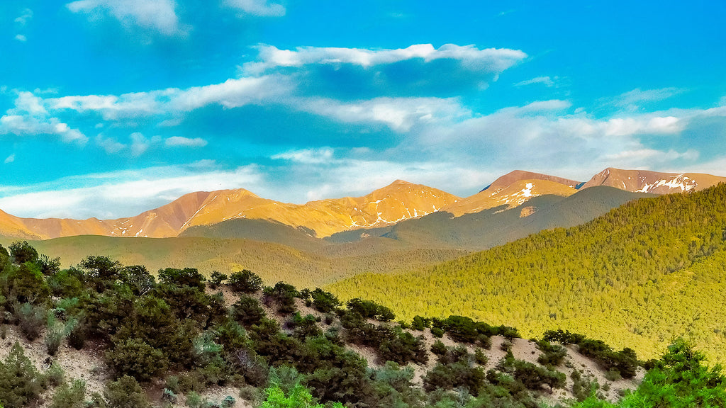 5 Wooded Acres with Amazing Views in Southern Colorado