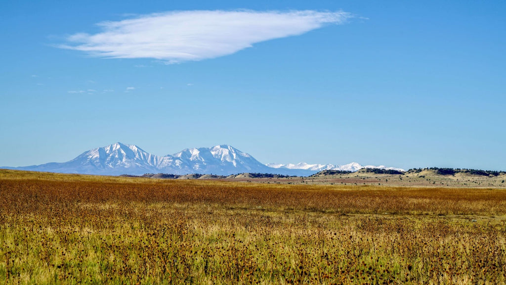 40 Acres with Power, Internet, Road Frontage & Mountain Views - LANDIO Property ID: CO_Huerfano_00003