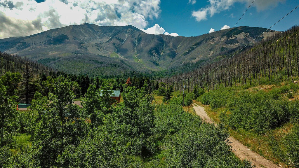 Wooded Homesite with Electricity & Creek next to National Forest in Southern Colorado