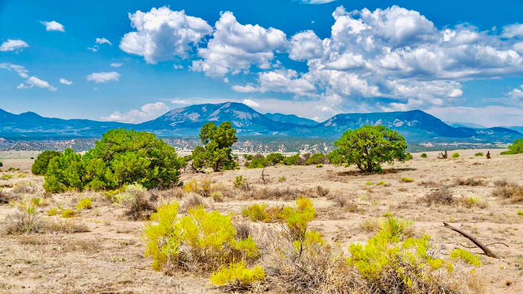 35 Acre Ranch with Road Frontage near National Forest in Southern Colorado
