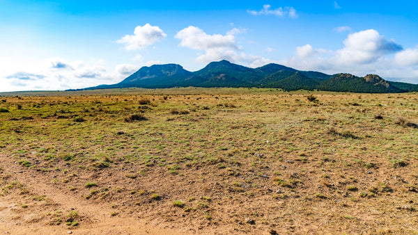 41.11 Acre Homesite near Electricity & National Forest in Southern Colorado