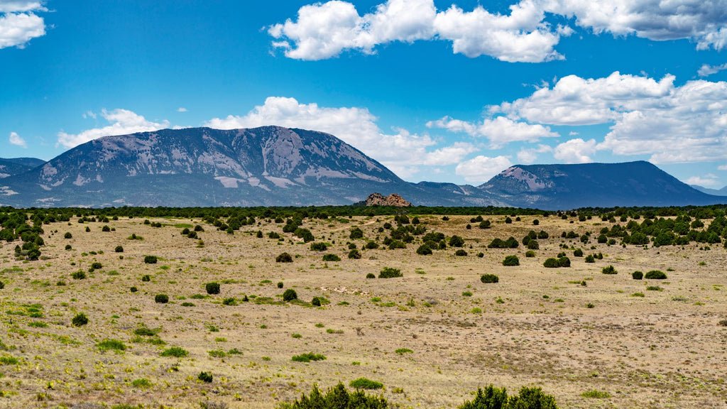 41.79 Acre Ranch near Electricity, Telecom & County Road in Southern Colorado