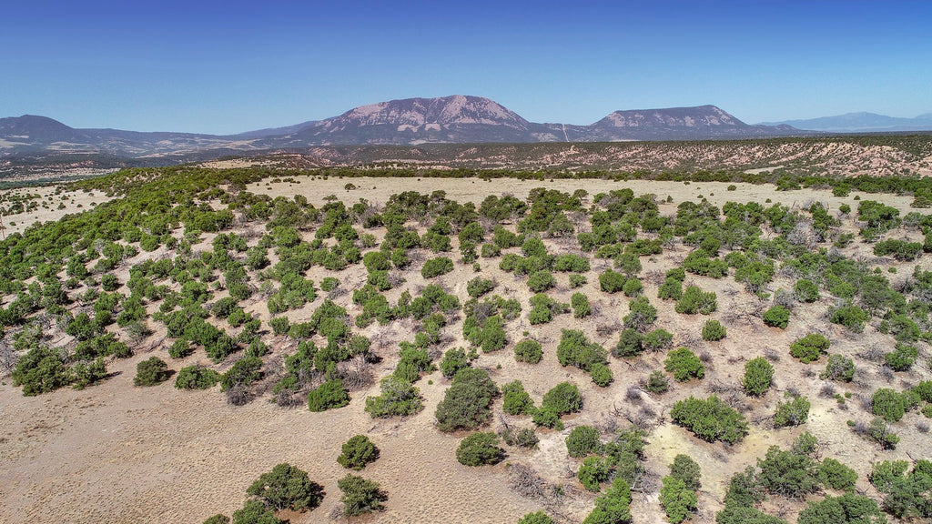 35 Acre Hunting & Recreation Property near BLM Land in Southern Colorado