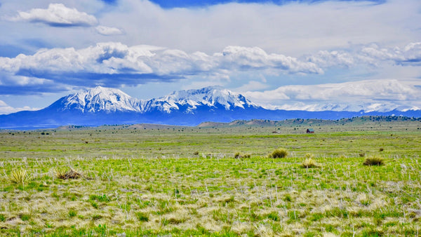 44.79 Acre Ranch near Electricity, Telecom & Road Frontage in Southern Colorado