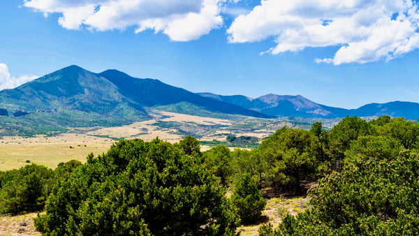 41.79 Acres with Mountain Views surrounded by Public Land : CO_Huerfano_00053