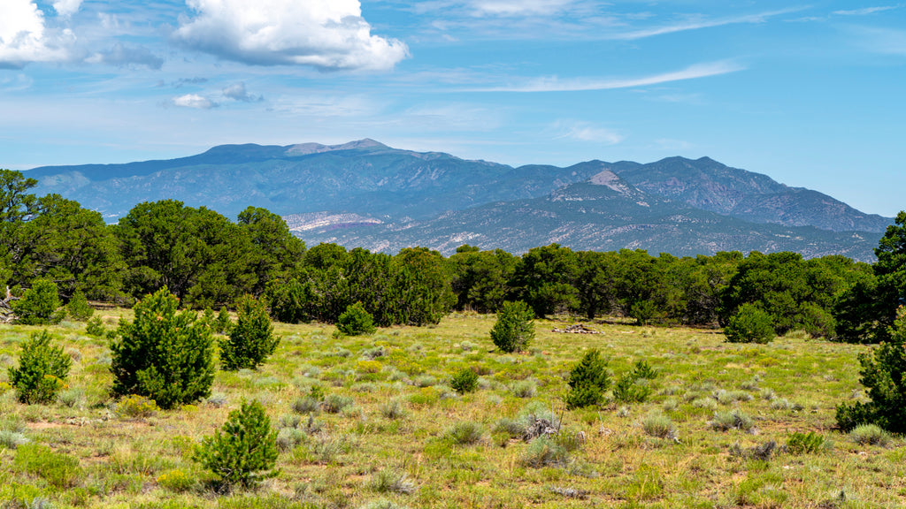 35 Acres with County Road Frontage & Mountain Views bordering BLM Land : CO_Huerfano_00054