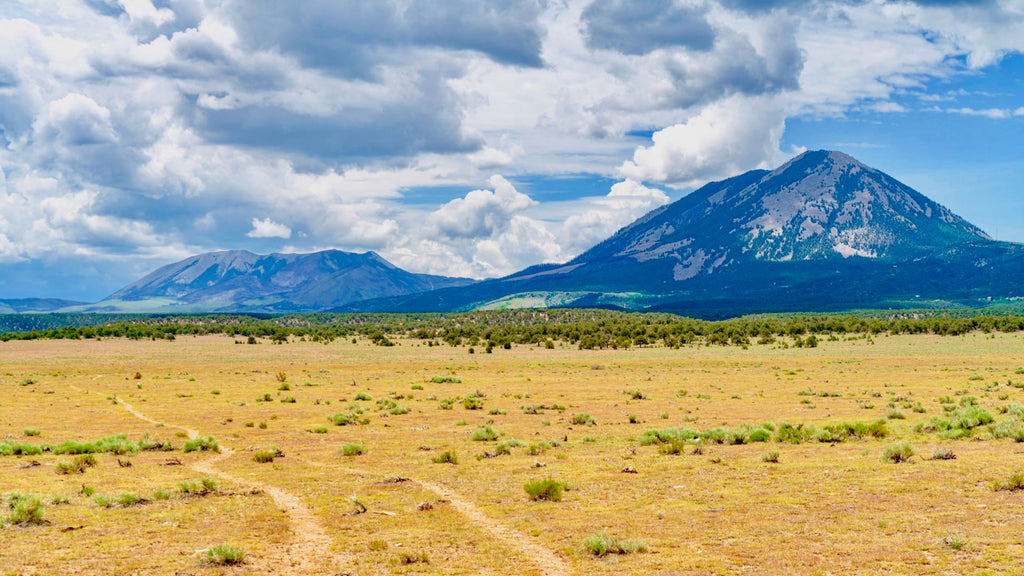 35 Acre Ranch Surrounded by  Mountain Views near BLM Land : CO_Huerfano_00055