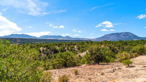 35 Acres Bordering BLM Land with County Road Frontage  : CO_Huerfano_00058