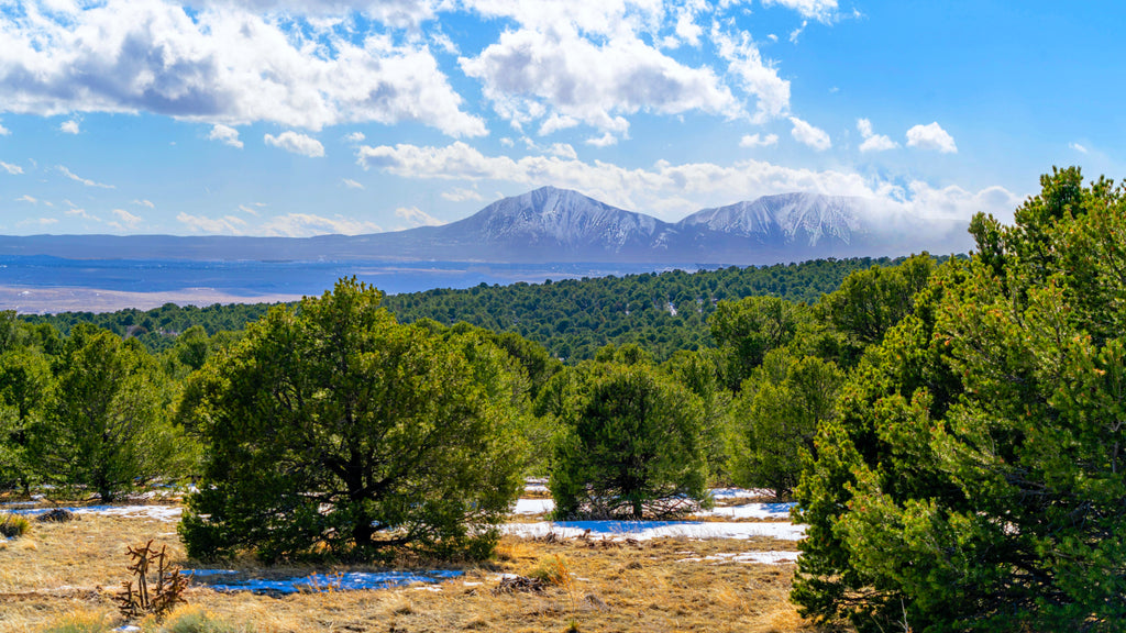 35 Mountain View Acres near San Isabel National Forest : CO_Huerfano_00059