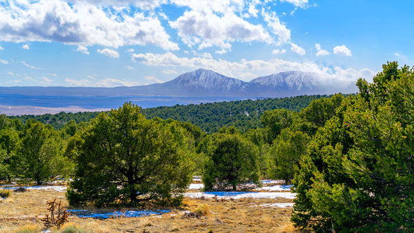 35 Mountain View Acres near San Isabel National Forest : CO_Huerfano_00059