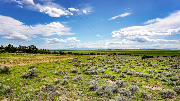 40 Acre Ranch near BLM Land with Utilities & Road Frontage : CO_Huerfano_00060