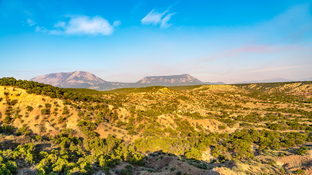 35 Acres with Mountain Views Adjoining BLM Land : CO_Huerfano_00068