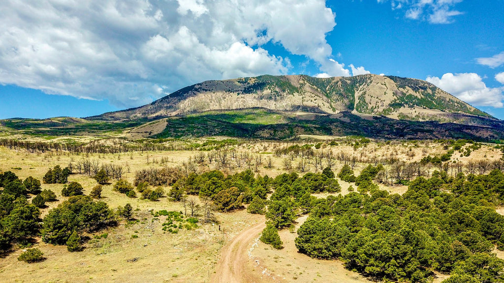 35 Acres with County Road Access & Mountain Views bordering BLM Land - CO_Huerfano_00071
