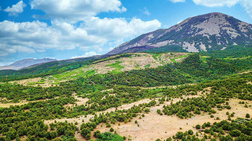 70 Acres on Sheep Mountain with World Class Views near BLM Land - CO_Huerfano_00072