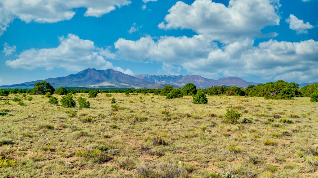 35 Acres with Mountain Views near the San Isabel National Forest : CO_Huerfano_00076