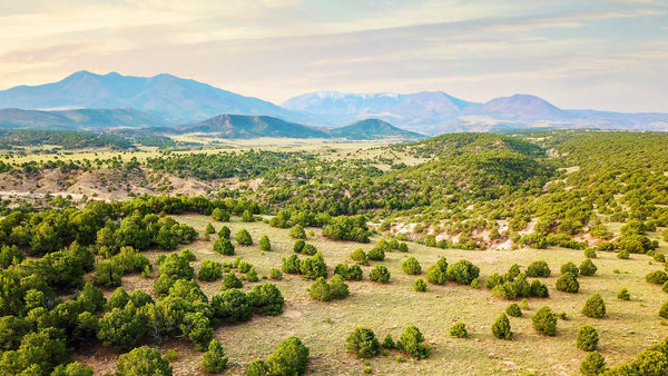 35 Acres with Mountain Views & Road Access : CO_Huerfano_00080
