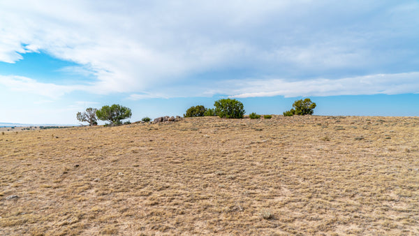 39.67 Acres with Road Access & Mountain Views : CO_Huerfano_00082