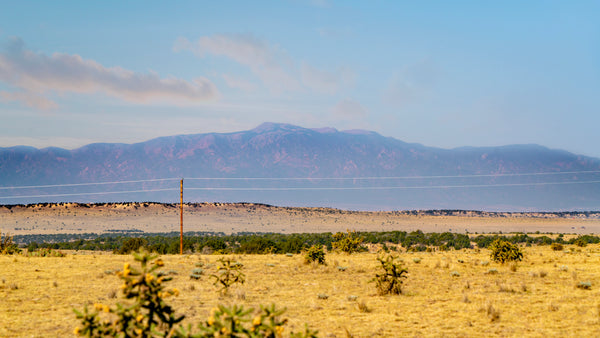 39.48 Acres with Road Access & Mountain Views : CO_Huerfano_00084