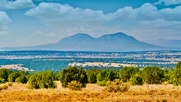 39.46 Acres in Colorado with Road Access & Mountain Views : CO_Huerfano_00085