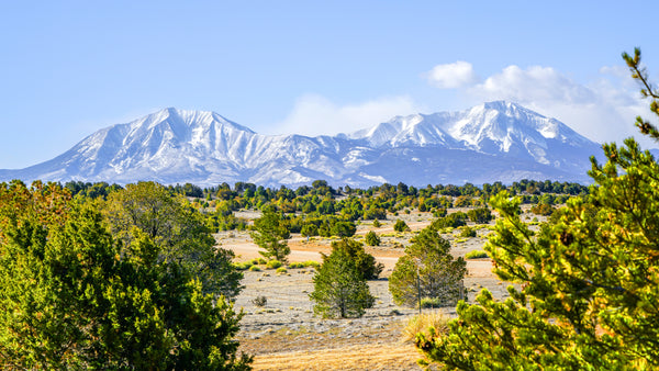 35 Acres with Road Access, Utilities, & Creek Frontage