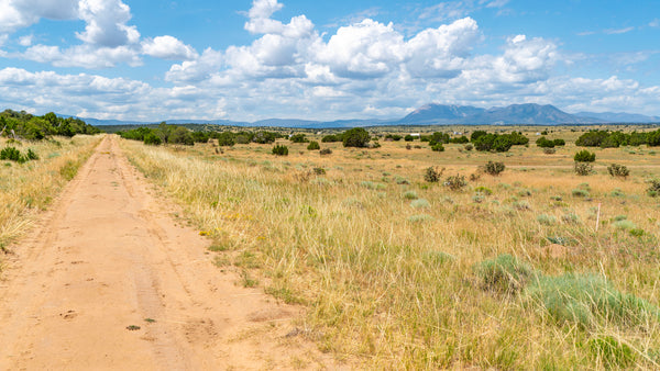 Lot with Road Frontage just 80 feet from the Lathrop State Park : CO_Huerfano_00099
