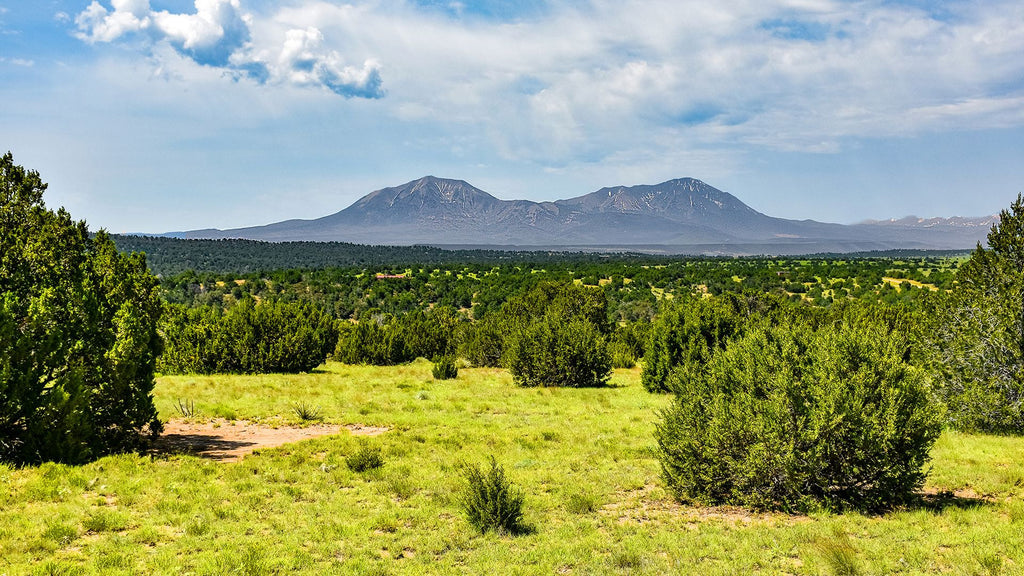 35 Acre Wooded Homesite with Mountain Views