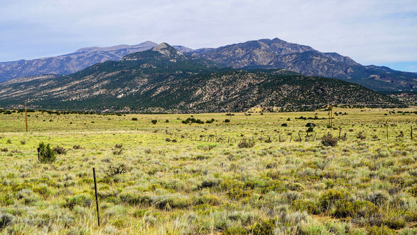 42 Acre Ranch with Electricity & Road Frontage near Walsenburg, Colorado