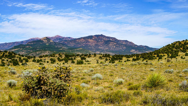 42 Acre Ranch with Electricity & County Road Frontage near Walsenburg, Colorado